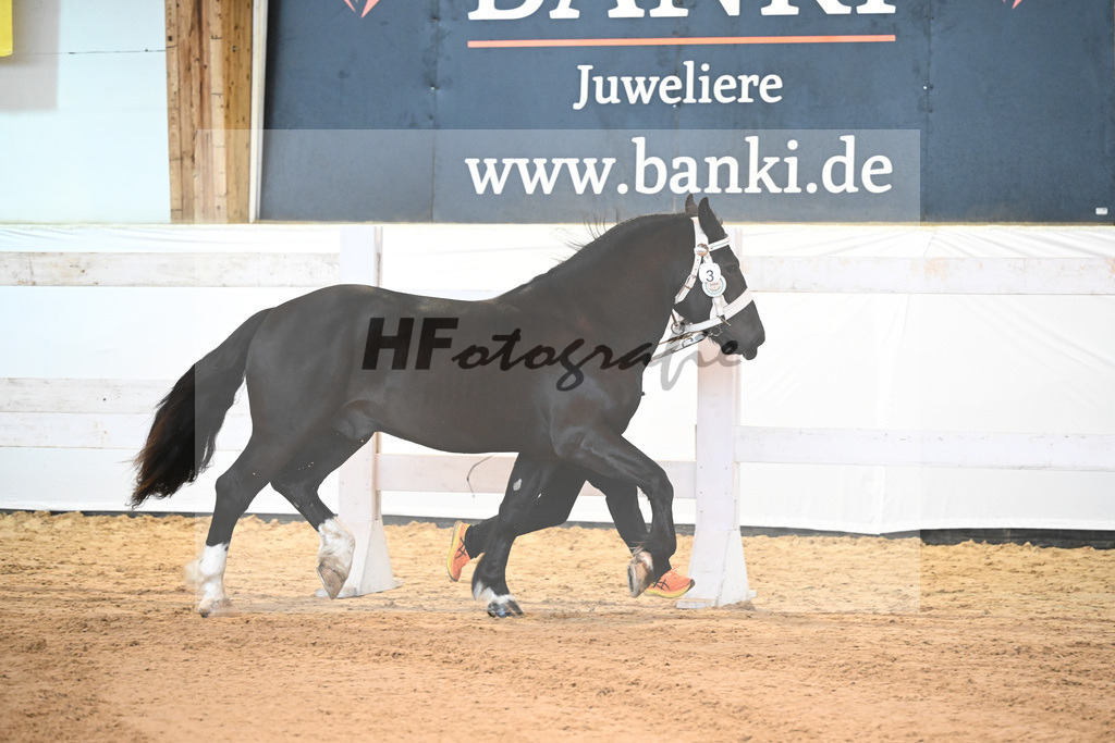 Kat-Nr. 3 v. Rubino __Dorfner_6240020 | hf-fotografie - Realisiert mit Pictrs.com