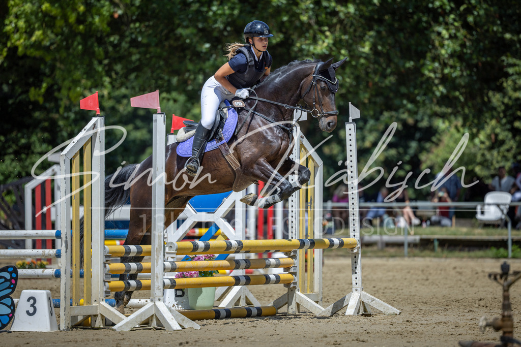 20260704-_3LI8596 | Tierfotografie Pferde, Hunde, Katzen, Haustiere.
Turnierfotografie Reitturniere, Reiten, Springreiten, Dressur in Hanau, dem Main-Kinzig-Kreis und dem Rhein-Main- Gebiet um Frankfurt