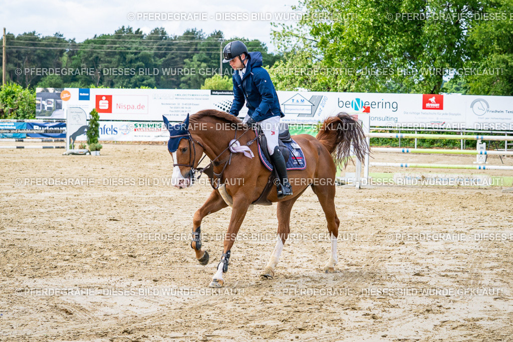 DSC05136 | Pferdegrafie