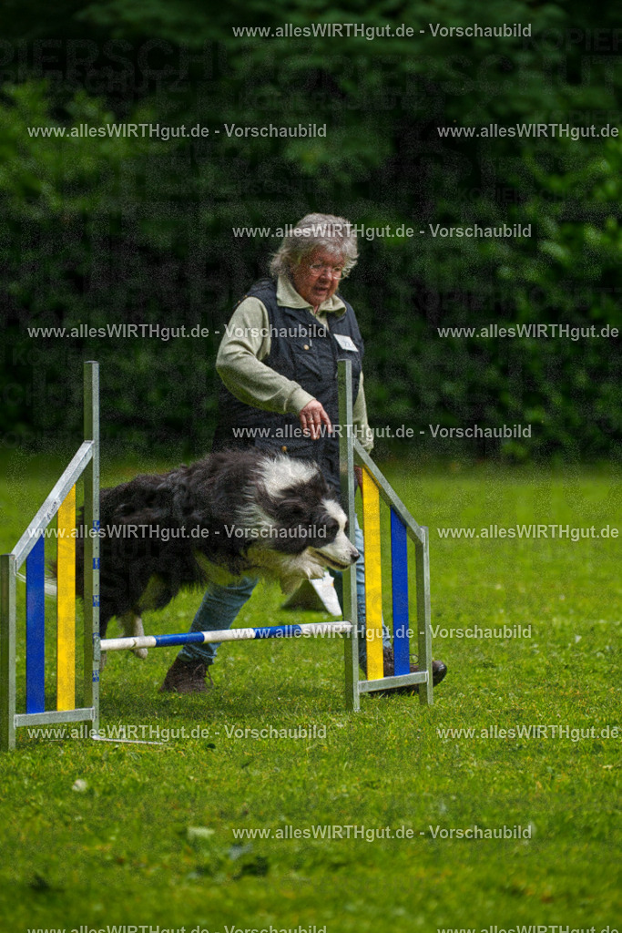 @allesWIRTHgut_Tierfotografie - www.allesWIRTHgut.de - 7R502678 | Professionelle Tierfotografie in Mönchengladbach von Daniel Wirth (allesWIRTHgut). Liebevolle & natürliche Bilder von Hunden & Katzen für unvergessliche Erinnerungen.