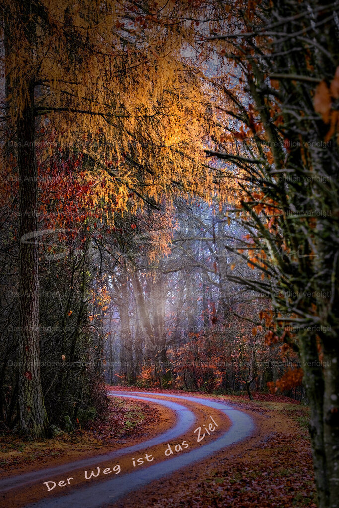 Postkarte "Der Weg ist das Ziel" | People- und Tierfotografie, Imageaufnahmen, Veranstaltungsfotografie und Wandbilder aus der Natur ★ Made in Germany ✔️ Druck + Downloads ✔️ Naturfotografie in Top Qualität ★ schneller Versand, weltweite Lieferung! - Realisiert mit Pictrs.com