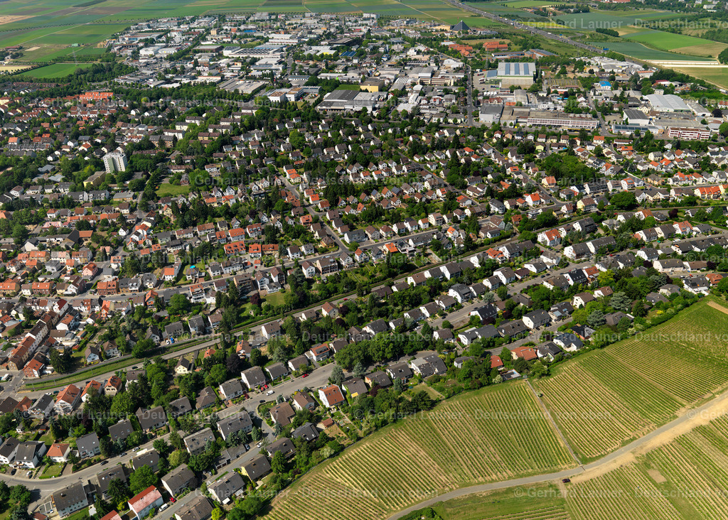 3134076-Hechtsheim | Hechtsheim