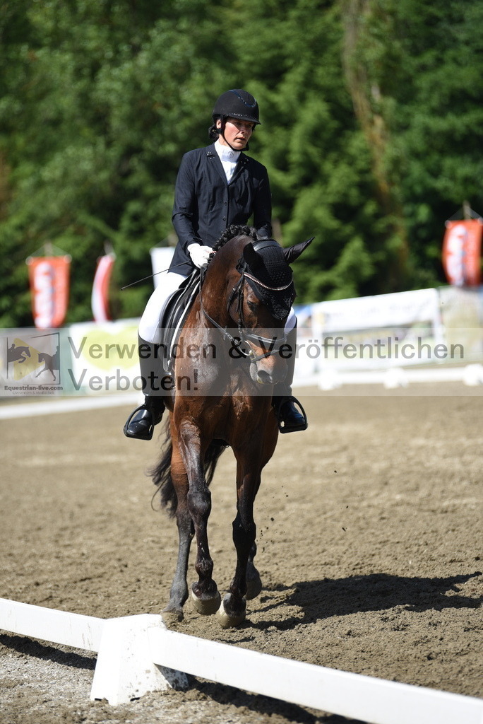 DSC_0119 | equestrian-live-com