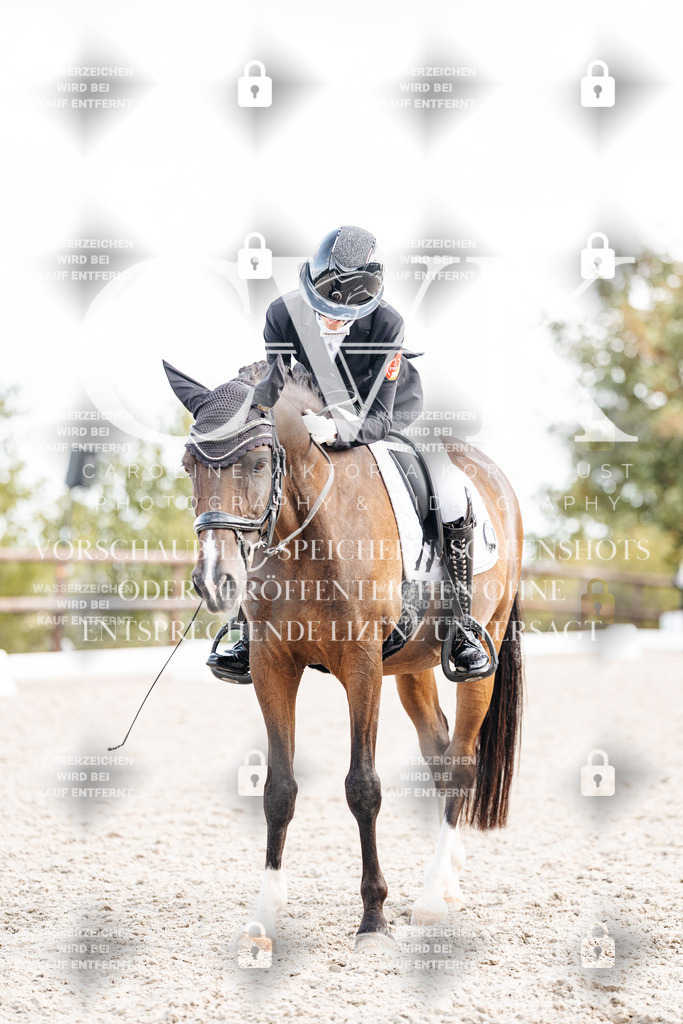 CK901705 | Turnierfotografie Pferdefotografie Trier Rheinland-Pfalz Pferdesport Reitsport Tierfotografie Sportfotografie Pferdevideo Pferdevideografie Equestrianvideography equestrianphotography  - Realisiert mit Pictrs.com