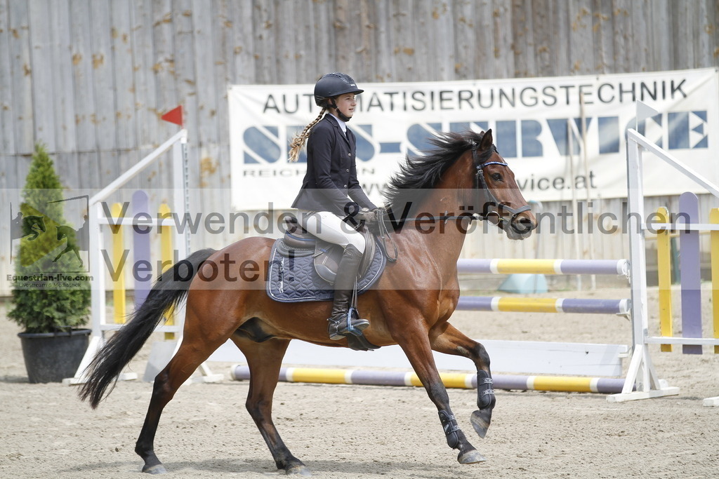_MG_1296 | equestrian-live-com