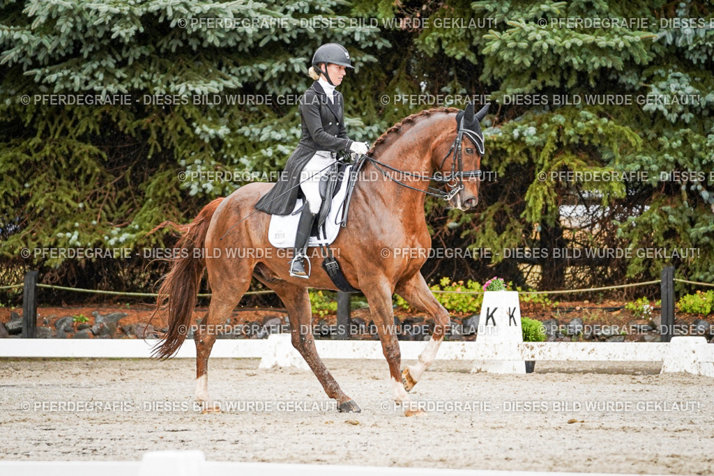 DSC09321 | Pferdegrafie