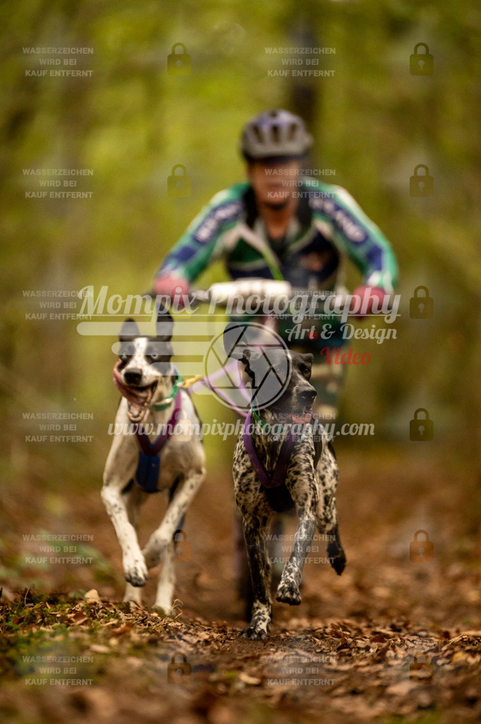 TSB_2023_E1_DS2-12 | PayLife