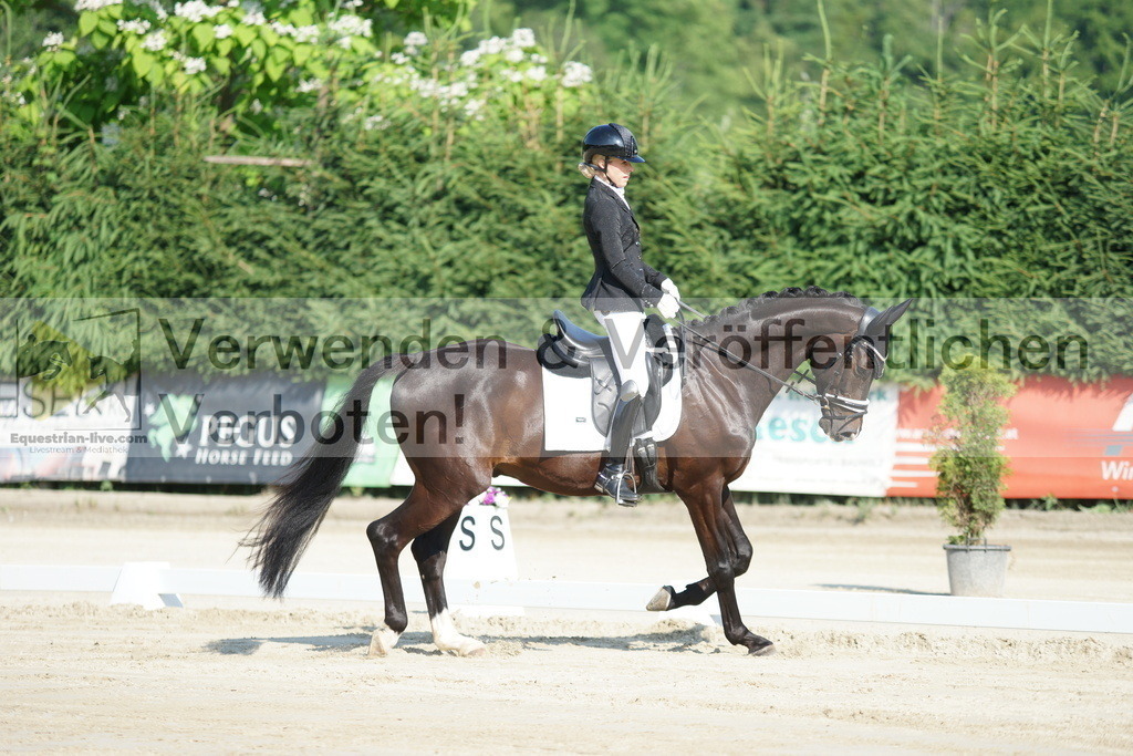 DSC01279 | equestrian-live-com