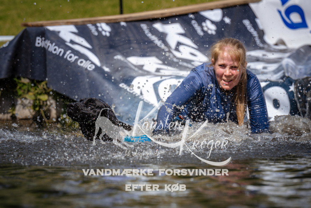 _ZZ972731024 | kk-dogfotos