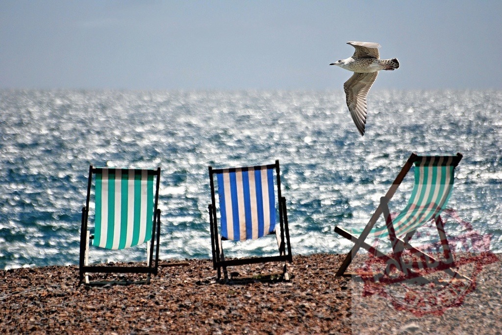 Deck chairs on a pebble beach with a flying seagull | Three striped deck chairs sitting on a Brighton pebble beach facing a twinkling sea - Realisiert mit Pictrs.com