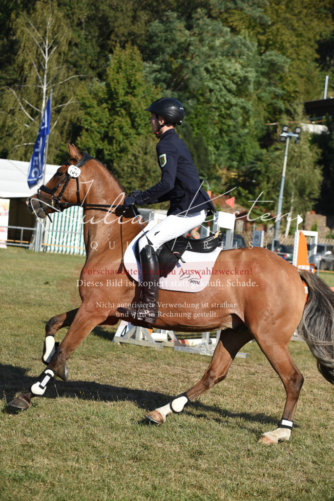 DSC_5246 | Pferde- und Turnierfotografie in Westsachsen. Pferdeportraits, Auftragszeichnungen und intuitive Kunst.