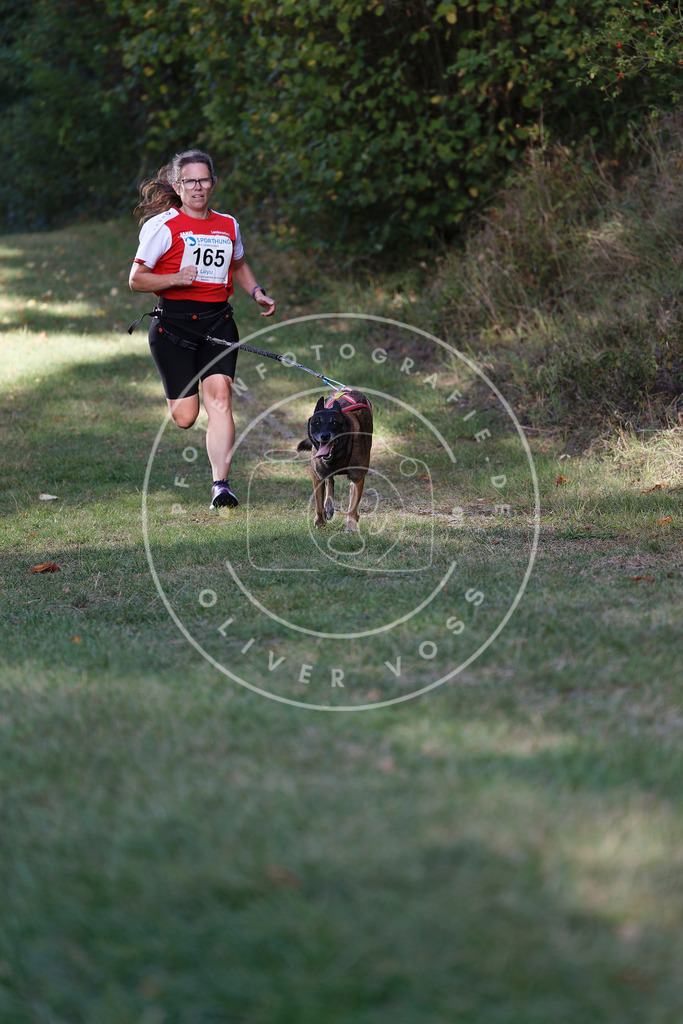 0L8A5377 | Hundefotografie, Tierfotograf, Pfotenfotografie, Fotoshooting Hund, Hunde Portrait, Hundesport, Hundeportraits, Heideshooting, Hunde, Sportfotograf, Hundefotograf, Turnierhundsport, THS,  - Realisiert mit Pictrs.com