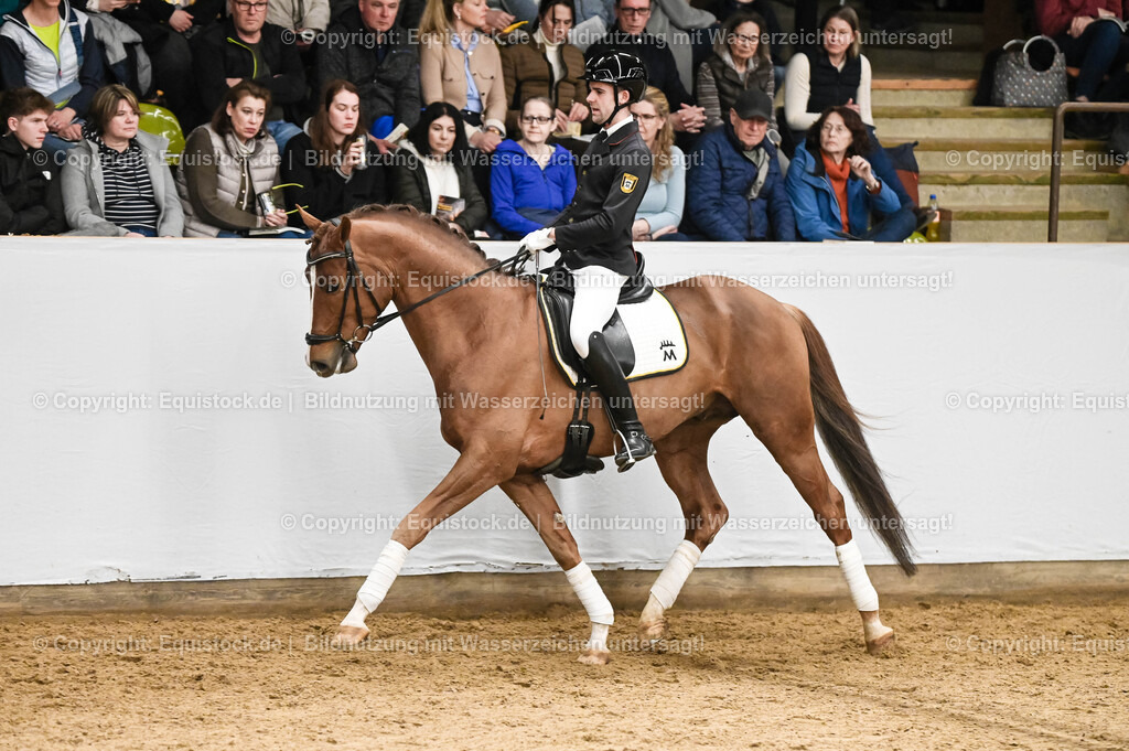 20260307_Hengstvorstellung-Marbach_0234 | equistock