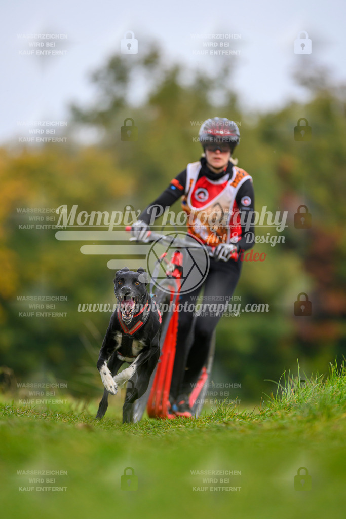 MompixPhotography_CDLBDB2025_DI_DS-82 | PayLife
