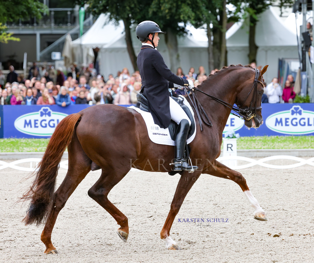 1B3A8315 | Reitsport Reiten