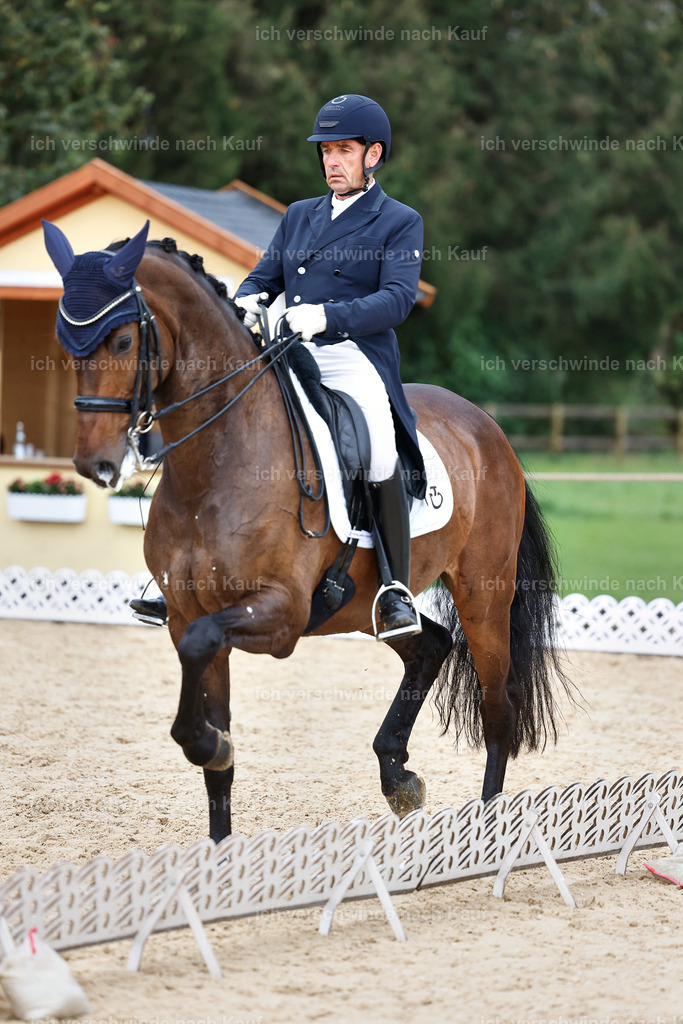 12-226-DRESSUR  S___  -StoibPH-5277 | working equitationturnier fotograf videograf stoibphotography marixx film working equitation deutschland reitsport turnierfotografie eventfotografie equestrian events