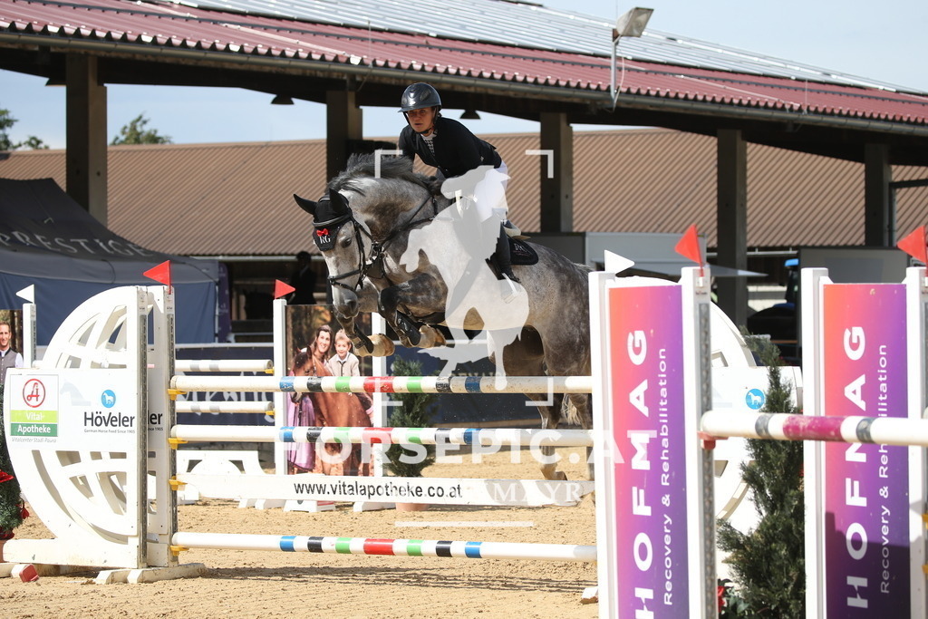 DL2Q3206 | Willkommen bei Brunnmayr - Design & Fotografie – Ihrem Spezialisten für Reitturniere und Pferdeveranstaltungen in Oberösterreich, Salzburg und Bayern! Seit über 17 Jahren sind wir leidenschaftlich dabei.