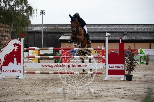 2B4A2424 | pixelfaenger - Realisiert mit Pictrs.com