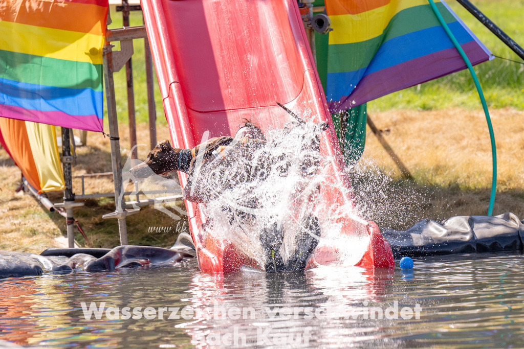 1218_ZZ91470 | kk-dogfotos