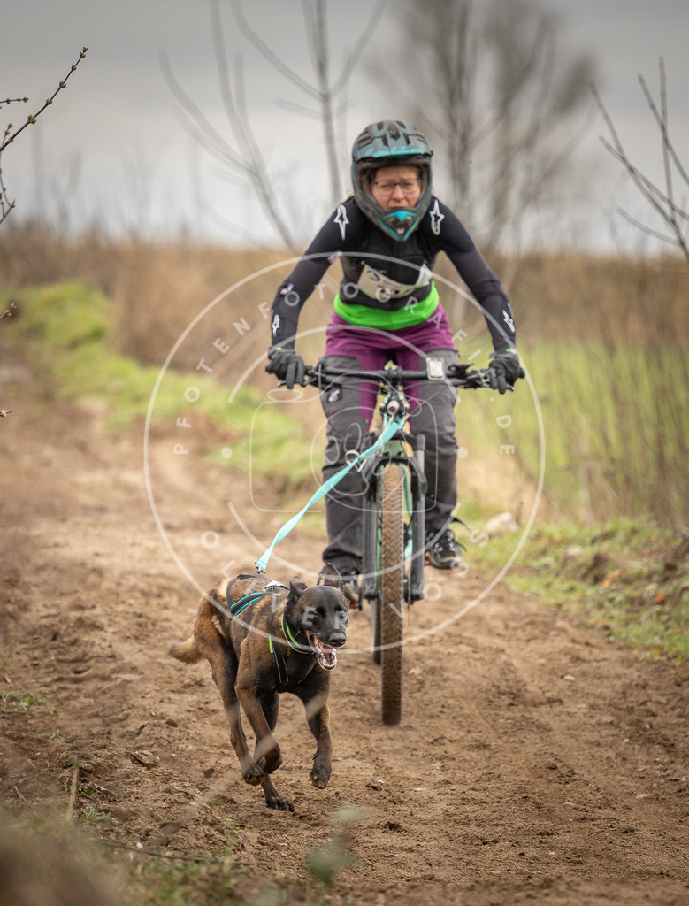 DV3A0855 | Hundefotografie, Tierfotograf, Pfotenfotografie, Fotoshooting Hund, Hunde Portrait, Hundesport, Hundeportraits, Heideshooting, Hunde, Sportfotograf, Hundefotograf, Turnierhundsport, THS,  - Realisiert mit Pictrs.com