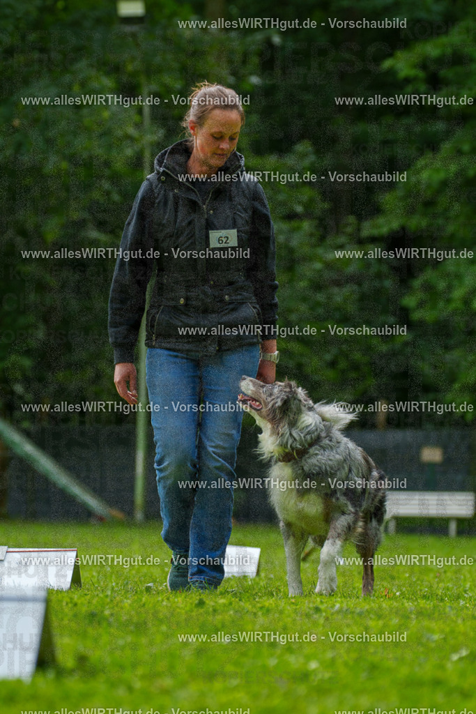 @allesWIRTHgut_Tierfotografie - www.allesWIRTHgut.de - 7R502063 | Professionelle Tierfotografie in Mönchengladbach von Daniel Wirth (allesWIRTHgut). Liebevolle & natürliche Bilder von Hunden & Katzen für unvergessliche Erinnerungen.