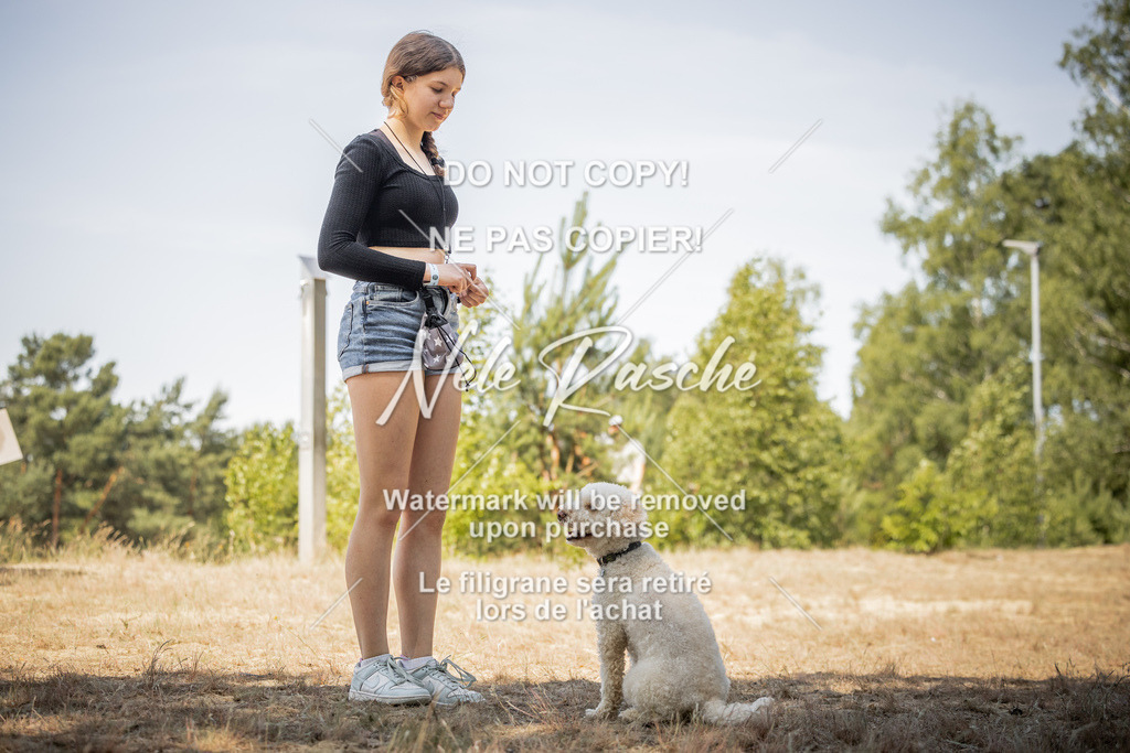 nelerasche_soDD3_35 | nelerasche
