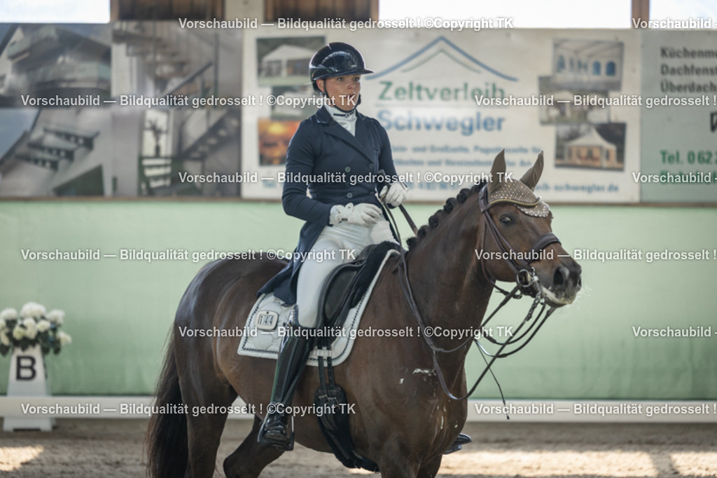 _D5A9222 | Emotionale Pferde- & People-Fotografie rund um Heidelberg, Leimen & Umgebung. Natürliche Fotos von Pferd, Mensch & Familie. Jetzt Termin sichern!