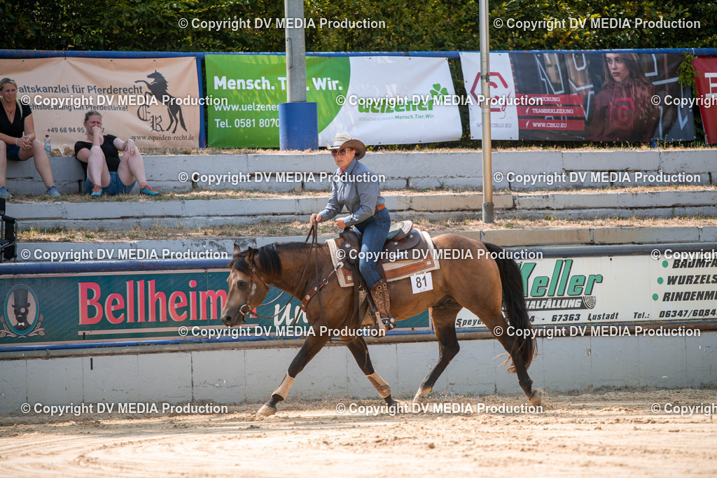 ZS2_8311 | dv-media-shop - Realisiert mit Pictrs.com