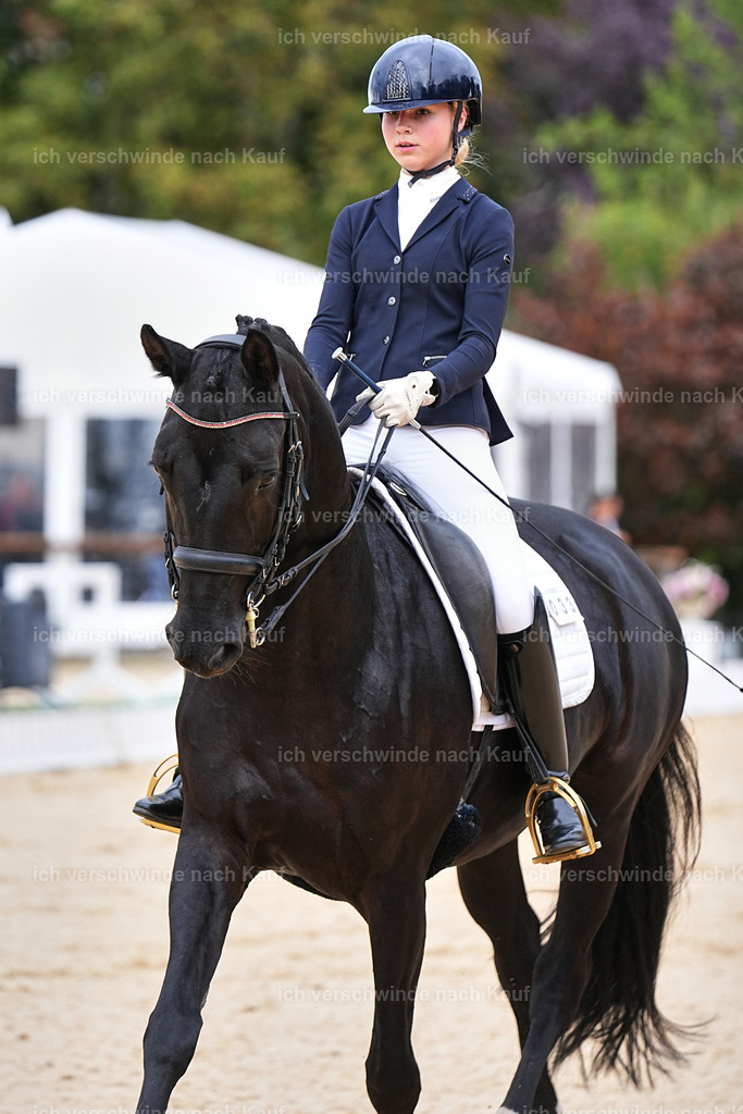 04_1-033-Dressur M__ -Marixx-2759 | working equitationturnier fotograf videograf stoibphotography marixx film working equitation deutschland reitsport turnierfotografie eventfotografie equestrian events