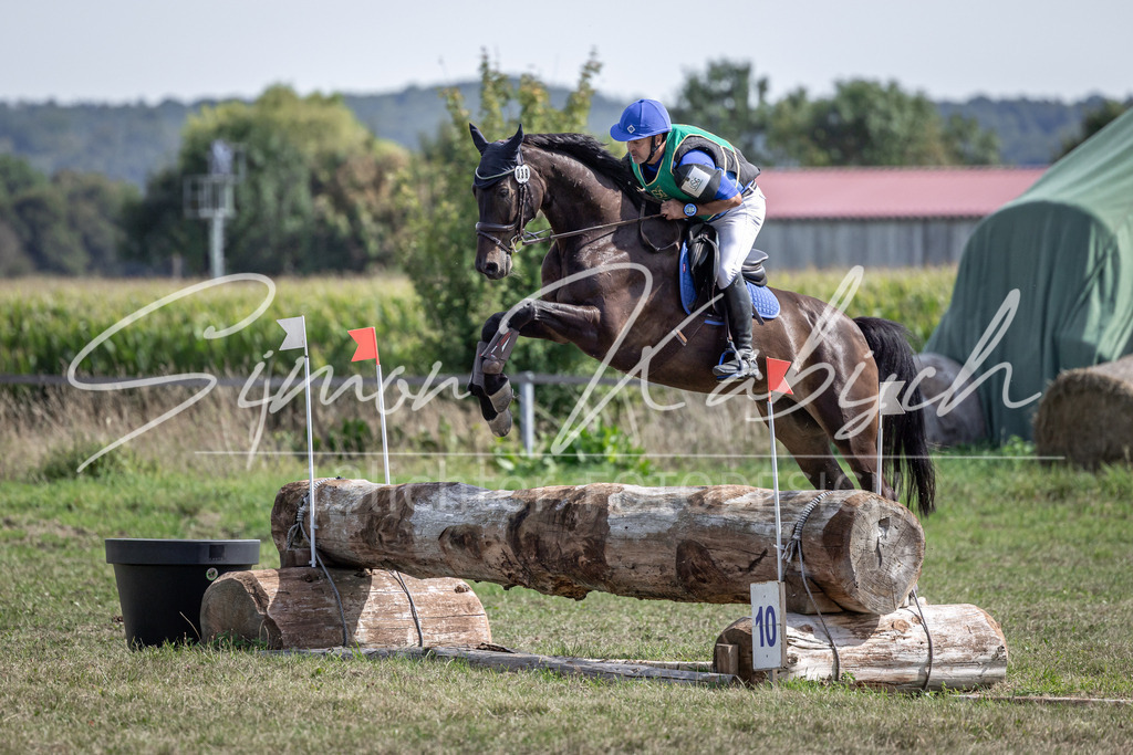 20250907-_3LI1056 | Tierfotografie Pferde, Hunde, Katzen, Haustiere.
Turnierfotografie Reitturniere, Reiten, Springreiten, Dressur in Hanau, dem Main-Kinzig-Kreis und dem Rhein-Main- Gebiet um Frankfurt