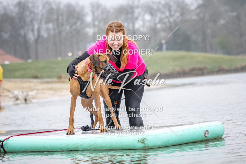 nelerasche_Hulsbeek_Sa1030-1100_207 | nelerasche