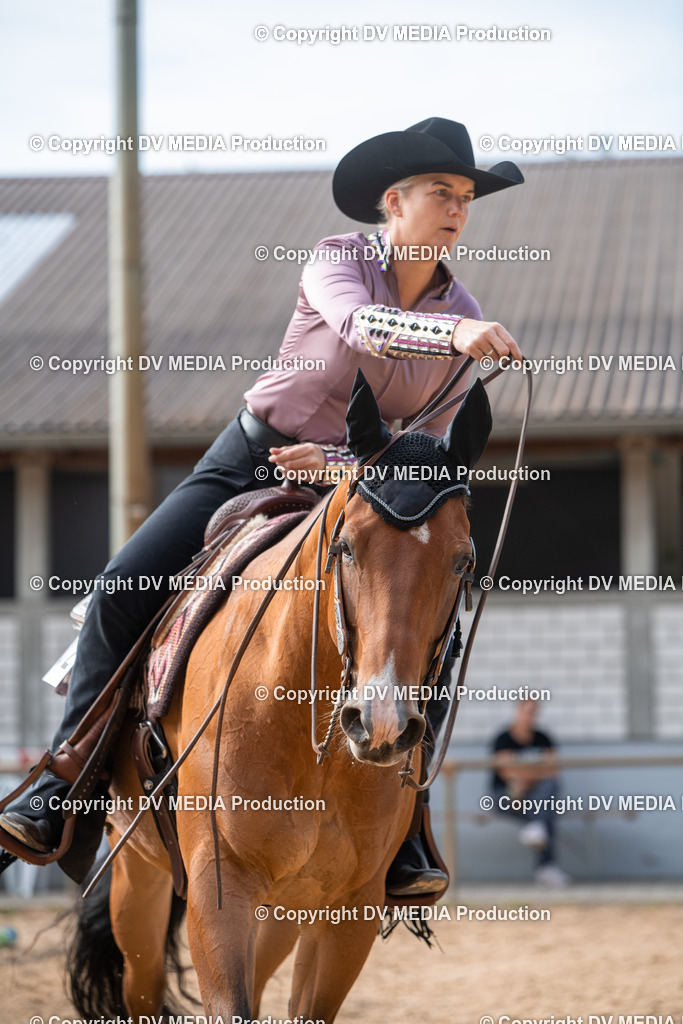 EWP_5711 | dv-media-shop - Realisiert mit Pictrs.com