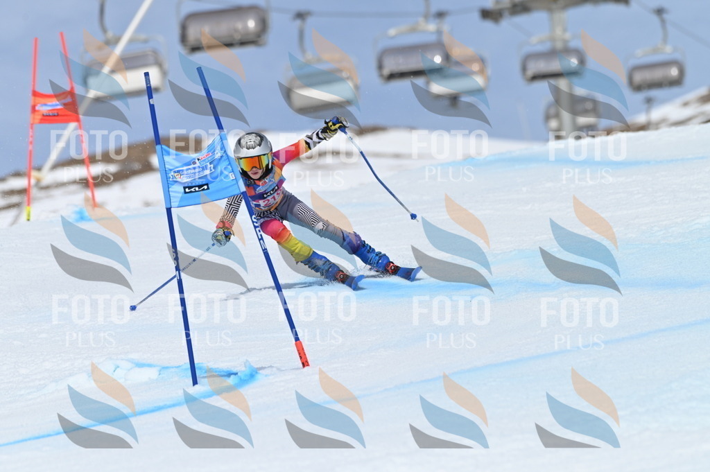 BGV_1294 | holidayphoto