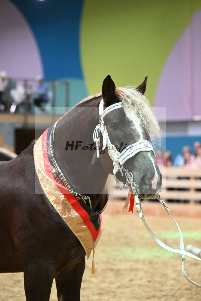 Kat-Nr. 10 Vlado v. Verry_Kotz_1260616 | hf-fotografie - Realisiert mit Pictrs.com