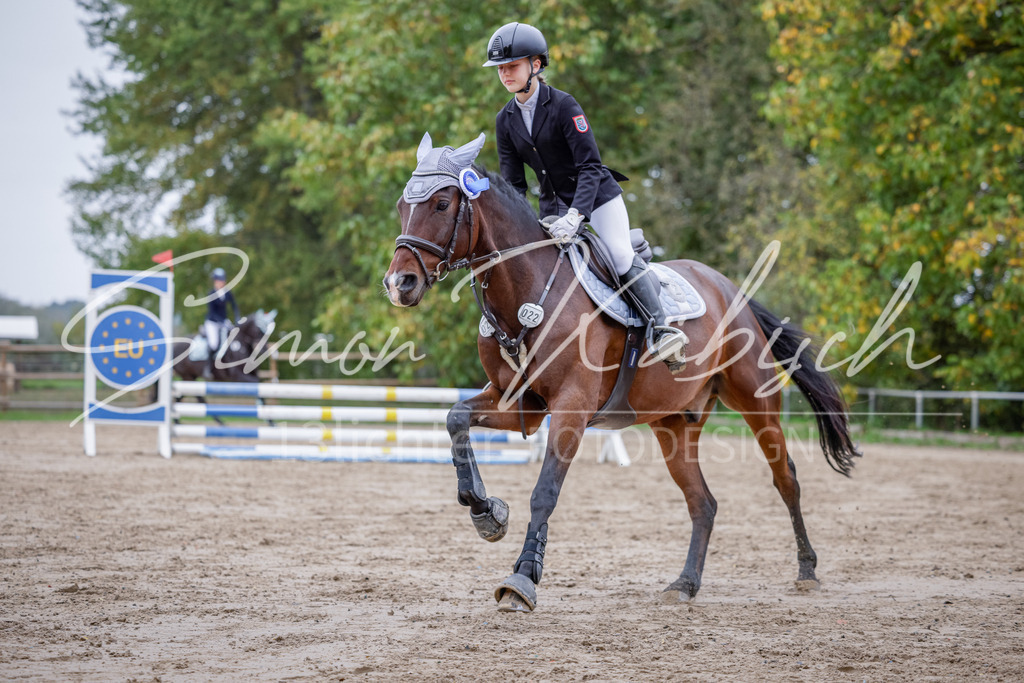20251012-_3LI3601 | Tierfotografie Pferde, Hunde, Katzen, Haustiere.
Turnierfotografie Reitturniere, Reiten, Springreiten, Dressur in Hanau, dem Main-Kinzig-Kreis und dem Rhein-Main- Gebiet um Frankfurt