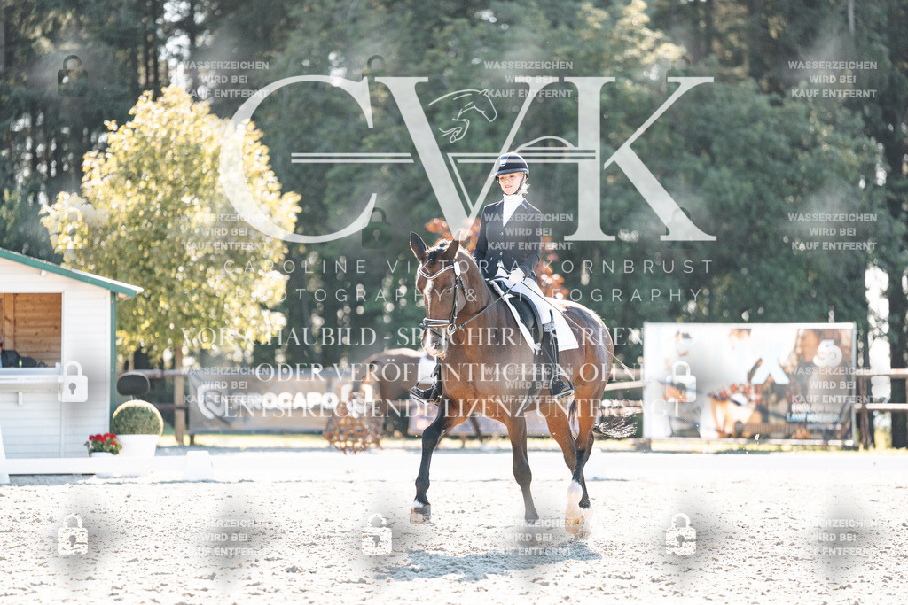 CK906475 | Turnierfotografie Pferdefotografie Trier Rheinland-Pfalz Pferdesport Reitsport Tierfotografie Sportfotografie Pferdevideo Pferdevideografie Equestrianvideography equestrianphotography  - Realisiert mit Pictrs.com