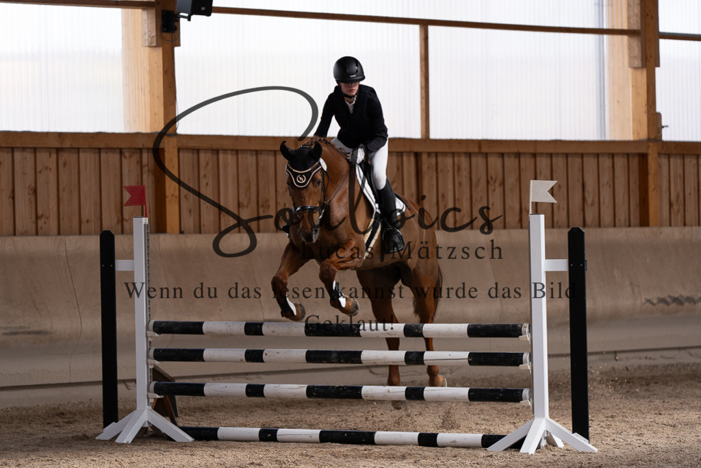 A7507734 | Pferdefotograf