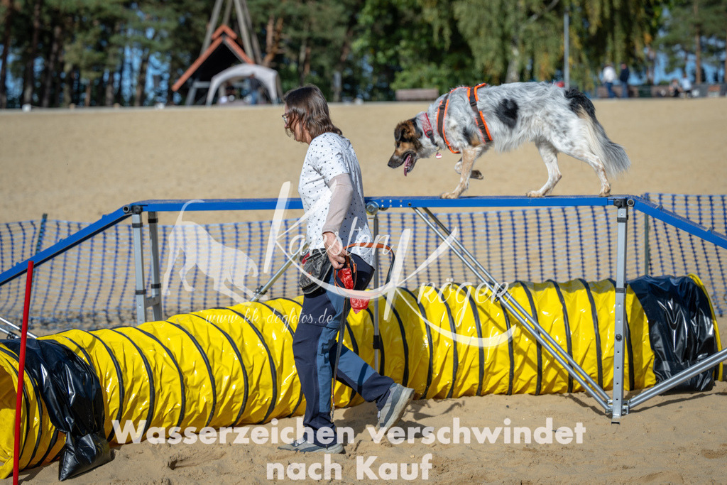 1506_ZZ92151 | kk-dogfotos