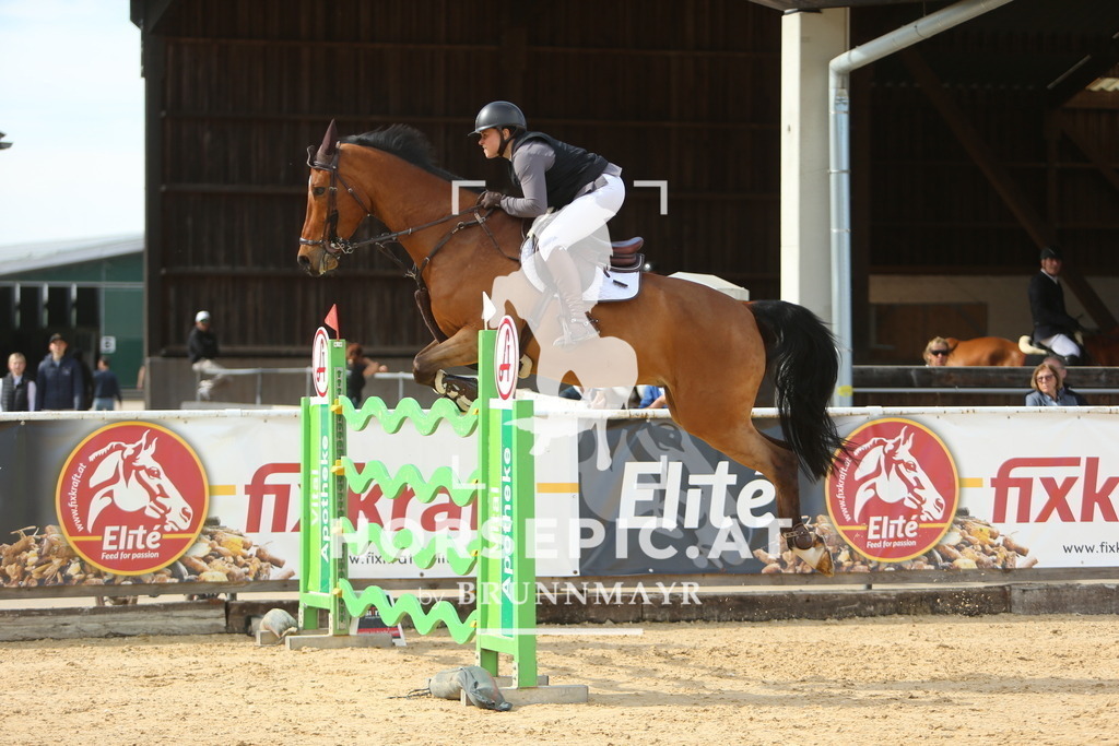 DL2Q6474 | Willkommen bei Brunnmayr - Design & Fotografie – Ihrem Spezialisten für Reitturniere und Pferdeveranstaltungen in Oberösterreich, Salzburg und Bayern! Seit über 17 Jahren sind wir leidenschaftlich dabei.