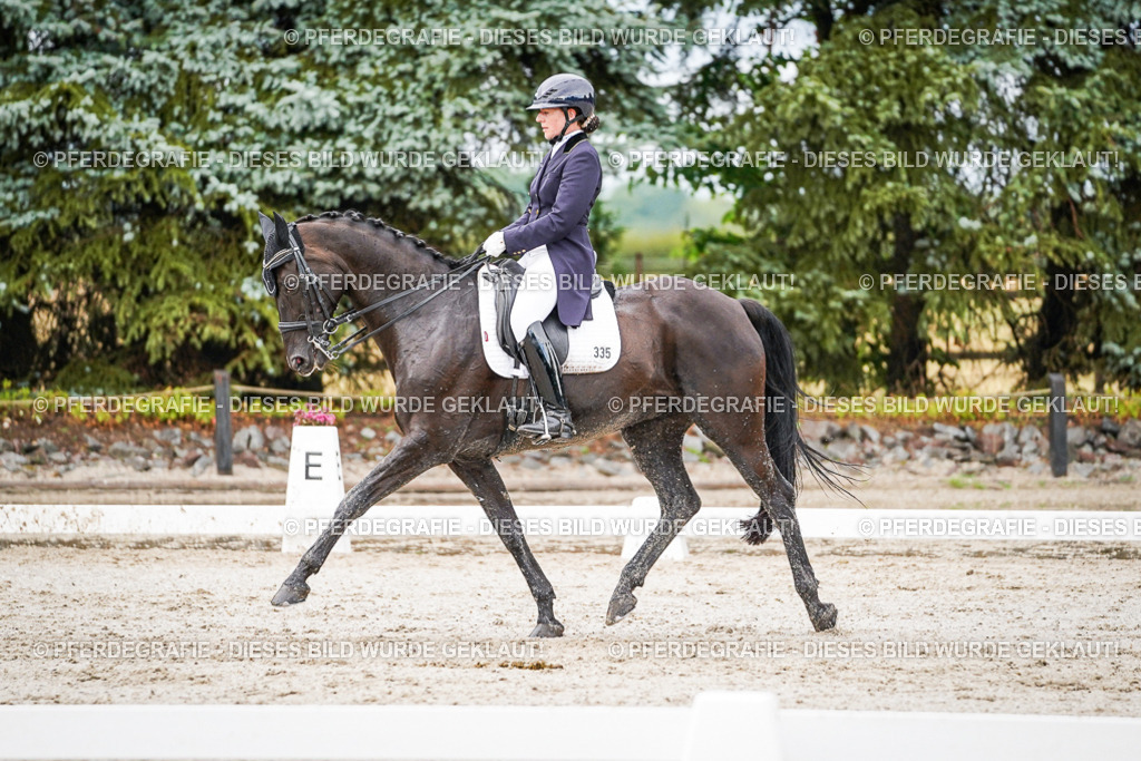 DSC00005 | Pferdegrafie