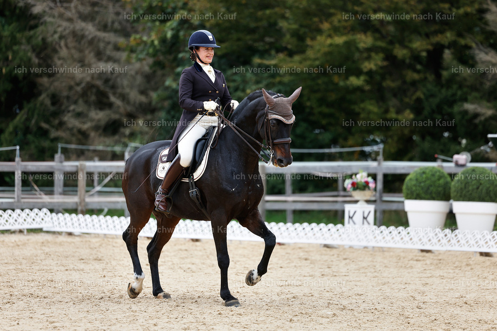 11-191-Dressur S___-StoibPH-906 | working equitationturnier fotograf videograf stoibphotography marixx film working equitation deutschland reitsport turnierfotografie eventfotografie equestrian events