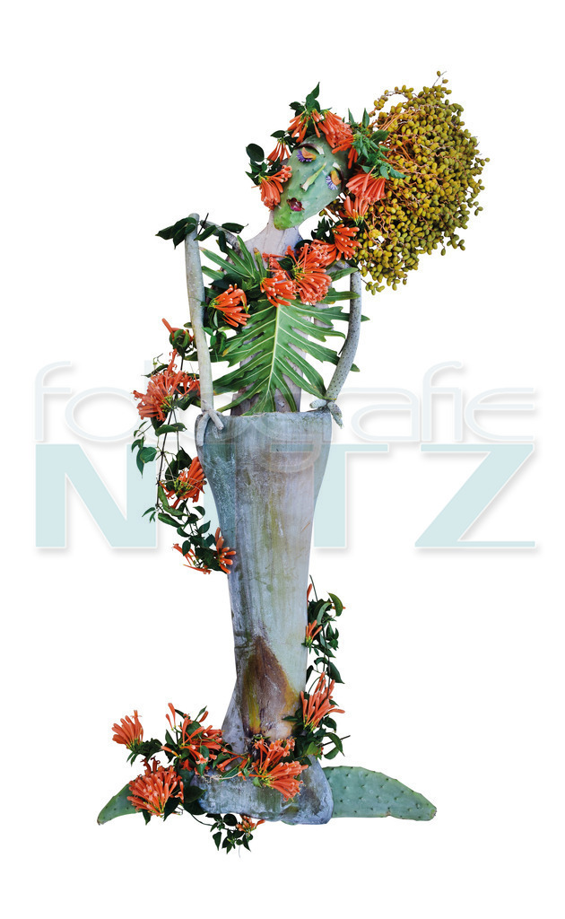 32 | Nitz Fotografie aus Montabaur bietet Ihnen hier die Möglichkeit Bilder auszusuchen und zu bestellen. 