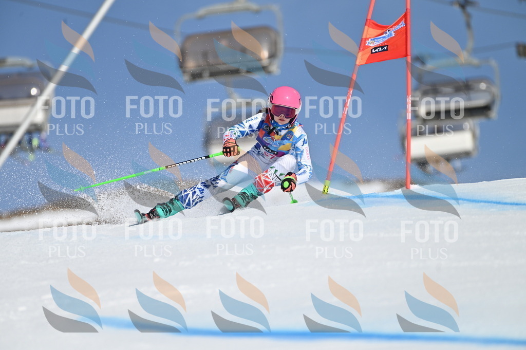 BGV_8659 | holidayphoto