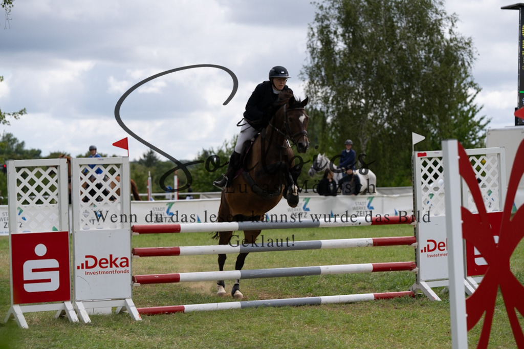 A7V05281 | Pferdefotograf