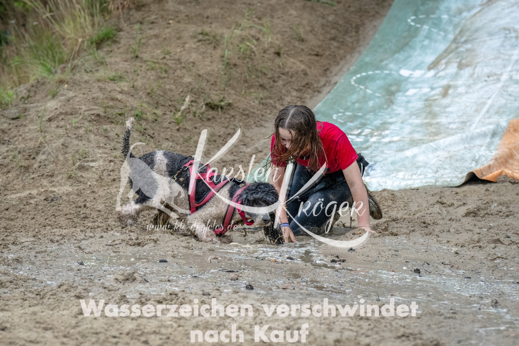 1249_ZZ90170-Bearbeitet-3 | kk-dogfotos