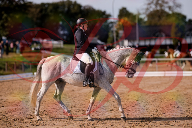 2026_10_03_Siefer-Hof_122811_Z81_26494790 | Professionelle Reitsport-, Turnier- und Eventfotografie von Robert Broda. Galerien mit ausgewählten und bearbeiteten Bildern direkt online ansehen und bestellen.