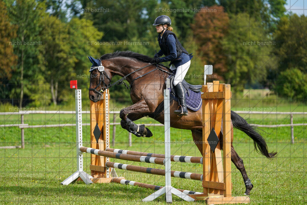 20230917-FAH09174 | Landsberg am Lech, 2023, Kaufbeuren, Kempten, Allgäu, Turnierfotografen Bayern, Fotoagentur Herrmann, Turnierbilder, Reitsport Fotos, Pferdefotograf, Augsburg, Bad Tölz, Dachau, Karlsfeld, Memmingen, Buchloe, Schwabmünchen