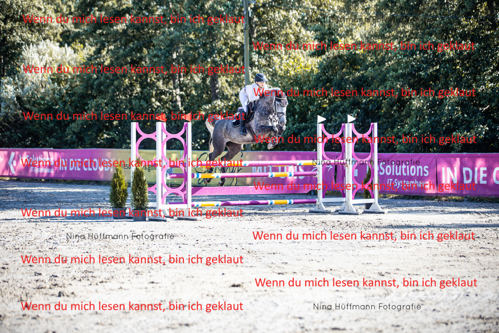 BK1A5927 | Turnierbilder Turnierfotos Nina Hüffmann Turnierfotografie Pferdefotografie Tierzeichnung Haustierzeichnung Pferdezeichnung Hundezeichnung Videograf  - Realisiert mit Pictrs.com
