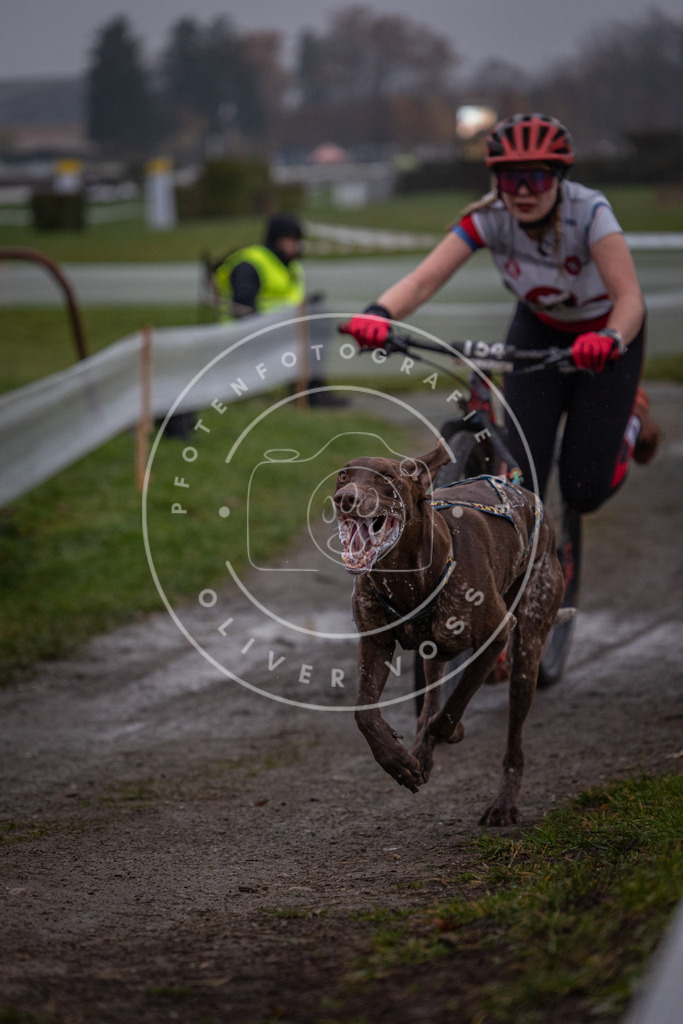 CaniXpix_0L8A0438 | Hundefotografie, Tierfotograf, Pfotenfotografie, Fotoshooting Hund, Hunde Portrait, Hundesport, Hundeportraits, Heideshooting, Hunde, Sportfotograf, Hundefotograf, Turnierhundsport, THS,  - Realisiert mit Pictrs.com