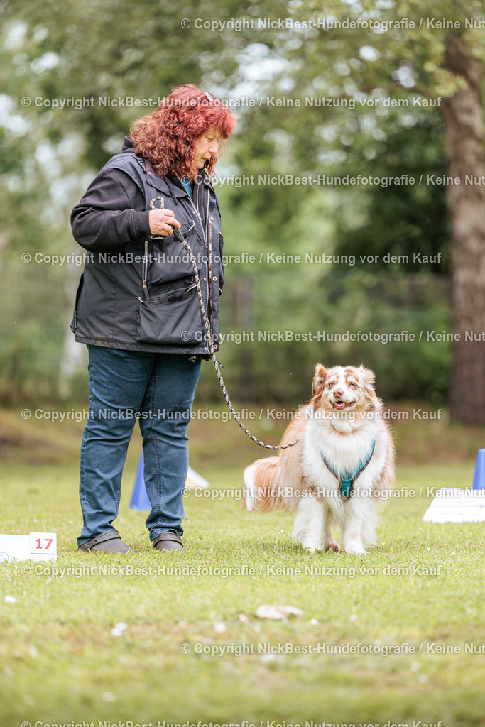 RO-Blumenthal-2026-Nickbest-Hundefotografie-3237 | Dein Hund! Dein Moment! Deine Erinnerungen! Hundefotografie in Bremen Blumenthal. Ich fange die besonderen Momente deines Vierbeiners ein – ob Indoor mit Blitzanlage oder in der freien Natur. Sicher dir dein Moment und dein Termin für eure Erinnerungen.